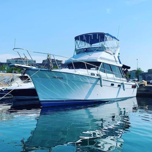 Setur Marina da Konforlu Tekne.