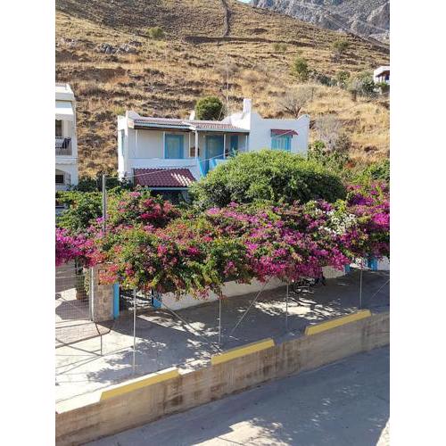Sevasti Studios Eborios Kalymnos