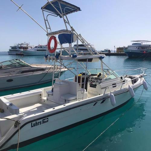 Shahin Art Charters