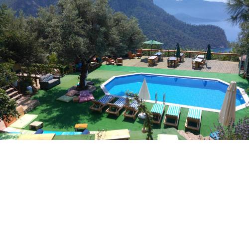 Shiva Camp