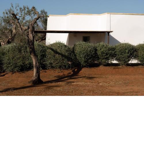 Sikalindi Apulian Farm&Living