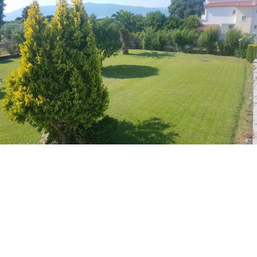Silver Villa Raches, Sky