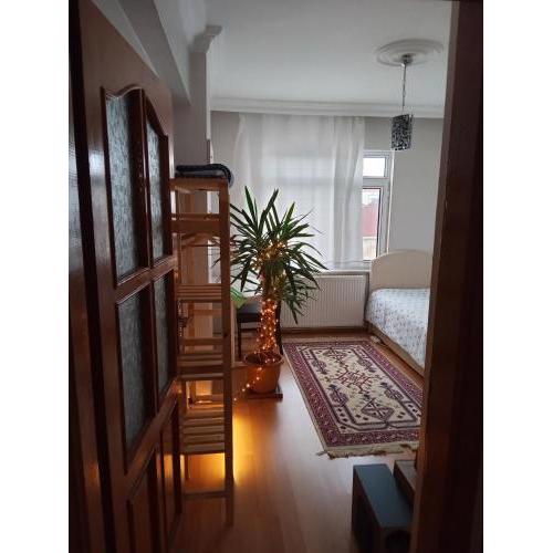 Single Room, одноместная комната в доме, chambre d'une personne, Habitación individual