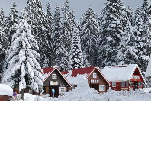 Ski Chalet Borovets
