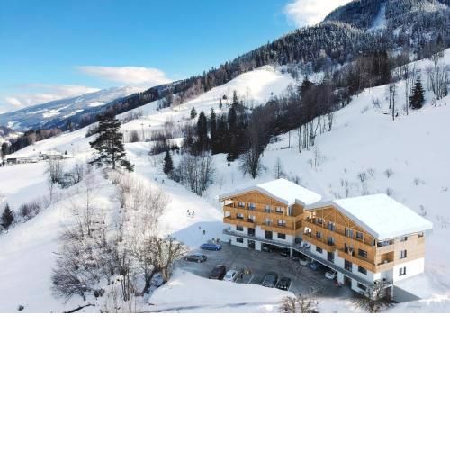 Ski in - Ski out - Franz Johann Appartements by Schladmingurlaub