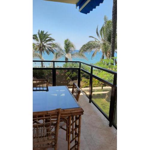 Skol 134C by Completely Marbella