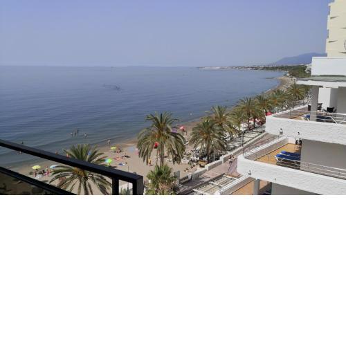 Skol 536C by Completely Marbella