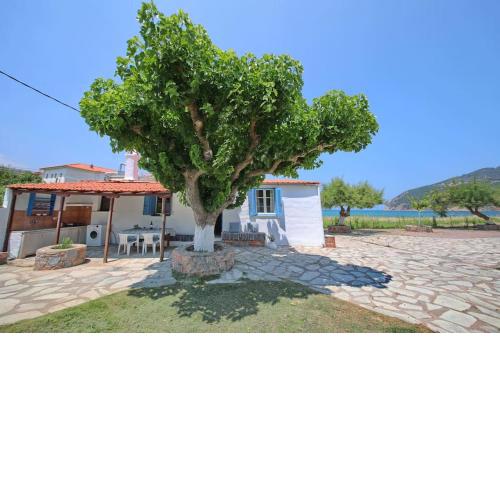 Skopelos Beach house