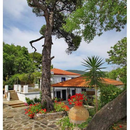 Skopelos Panormos Vassilios Cottage