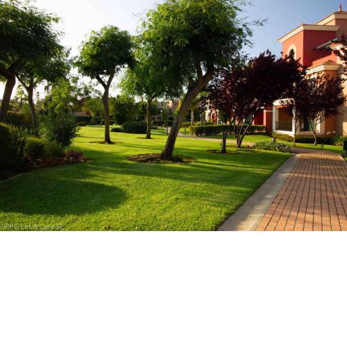 (SLE001) 3 Bedroom Golf Apartment