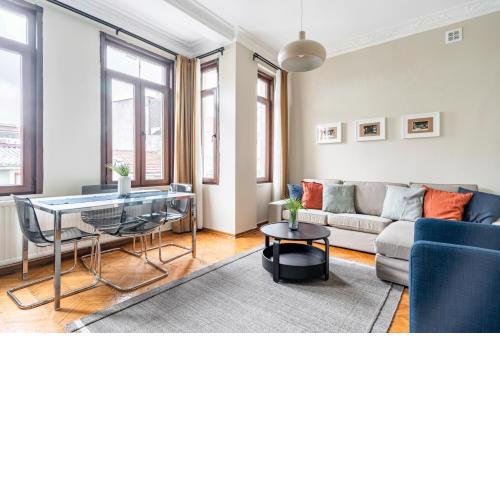 Sleek Flat with Central Location in Beyoglu