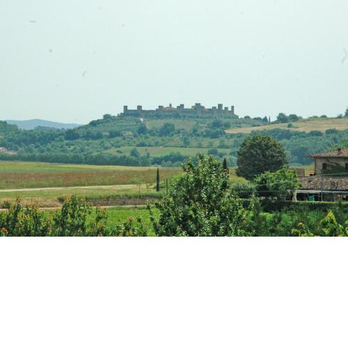 S.M. L'ARCO