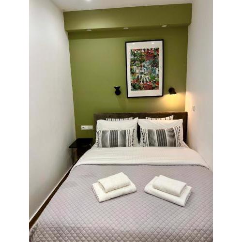 Smart modern apartment B