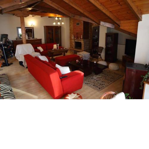 Soffitta House Sofi!