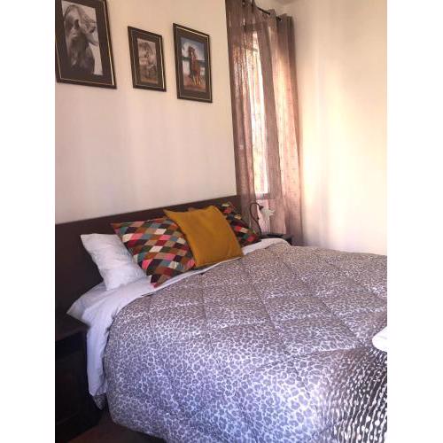 Sofia guest house