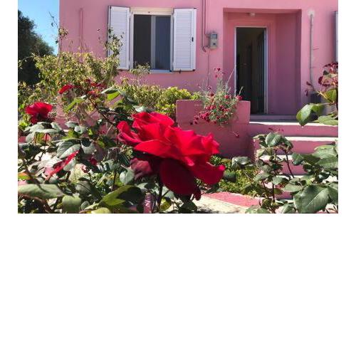 Sofis House( Pink house)