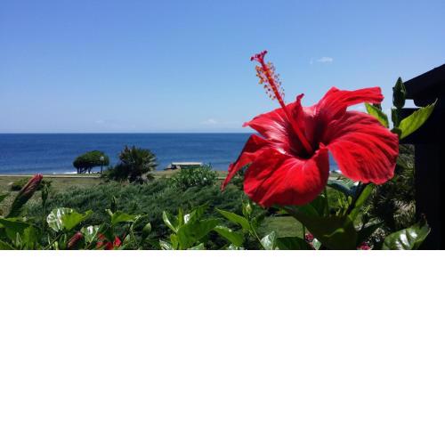 Sogno sul mare