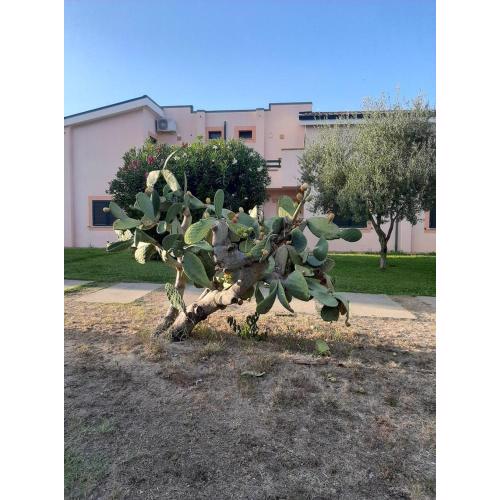 Sole e Mare appartamento nel villaggio