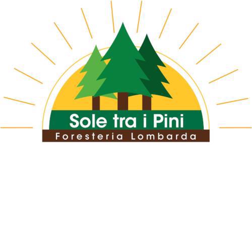 Sole tra i pini - foresteria lombarda