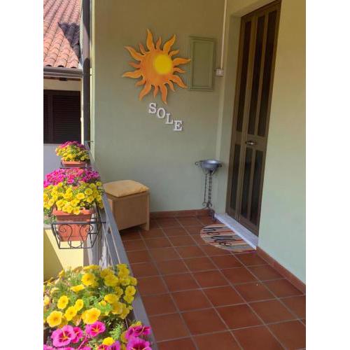 Sole