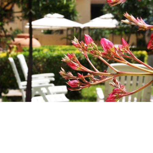 Solemare B&B - Apartments Alghero