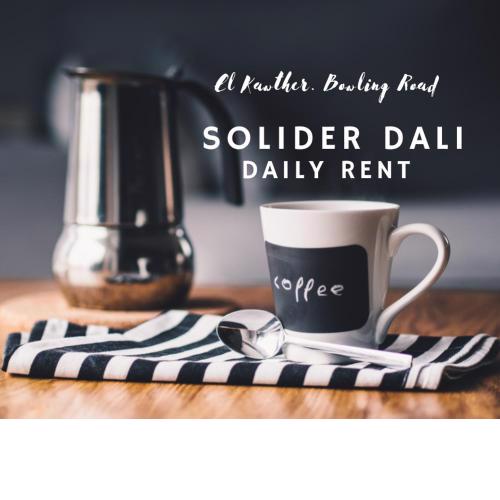Solider Dali