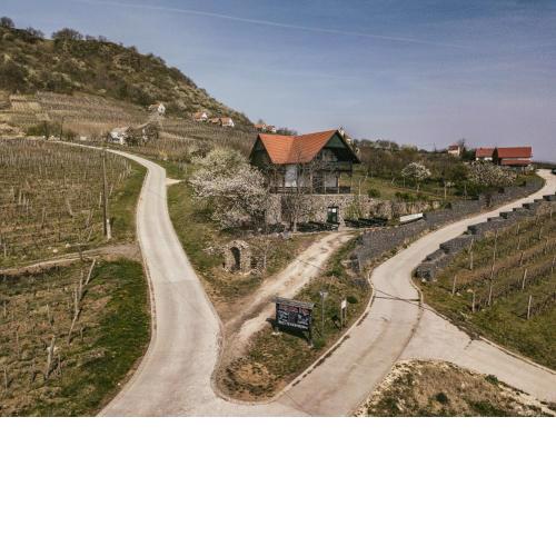 Somlo Wineshop Guesthouse