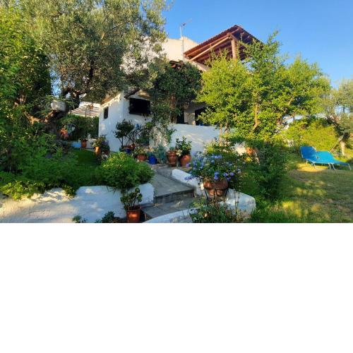 Sonia's House with Garden
