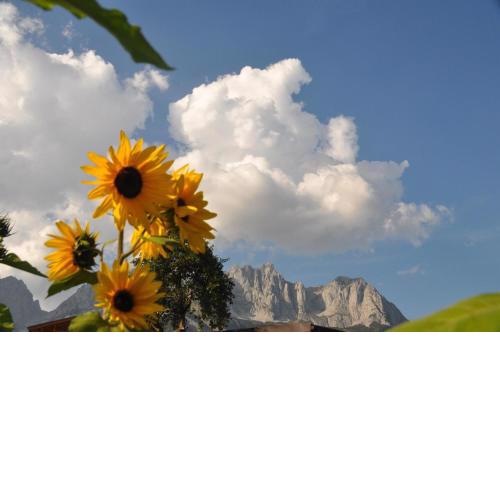 Sonnenapartment