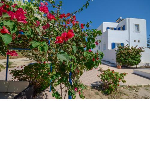 Sophi's L Studios & Apartments