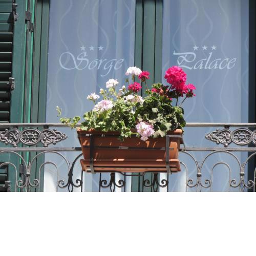 Sorge Palace