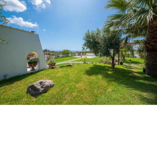 Sorgeto Garden