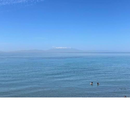 “Sound of the sea” first line studio
