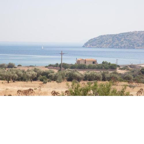 Sounio Mare