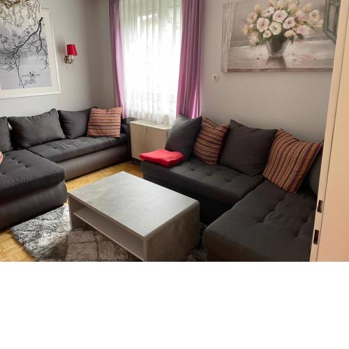 Spacious 2 bedroom apartment Zell-am-See town center