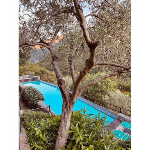 Spacious 2 bedroom condo