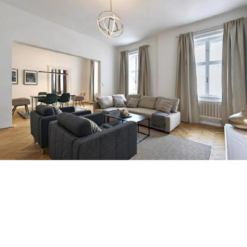 Spacious and Luxurious Apartment Near Vienna