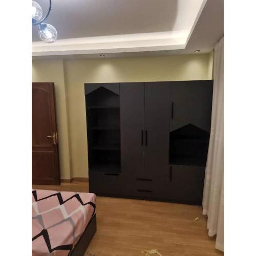 Spacious Apartment For Rent