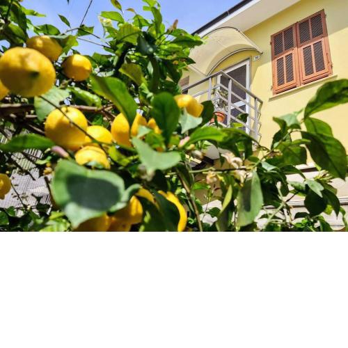 Spacious apartment in a quiet area: Sanremo