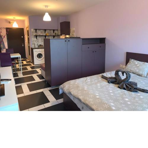 Spacious apartment in the heart of Studentski grad