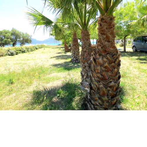 Spacious Apartment on the Beach, Methoni