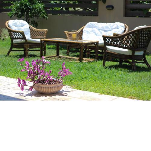Spacious House with garden