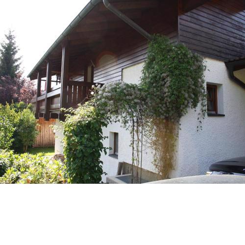 Spacious Villa near Lake in Goldegg