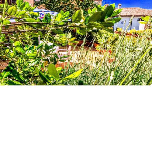 Spoleto Bellasleeps 4spoleto - 9