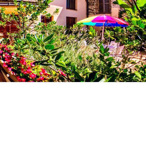 Spoleto Bellasleeps 4spoletocar Not Necessary