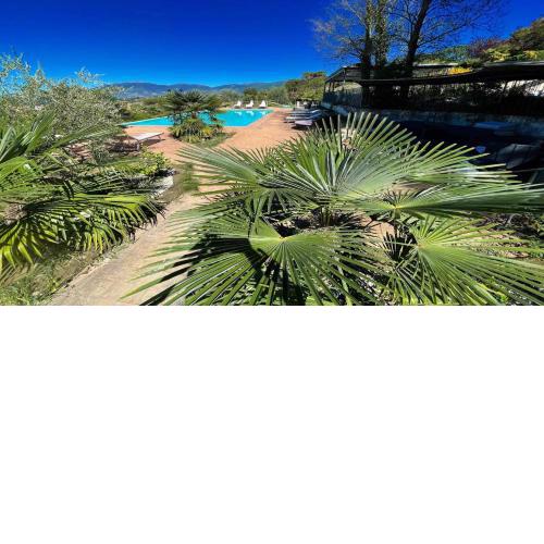 Spoleto-poolside-slps 20 1 hour to Rome - fabulous gardens, Bbq area, pool