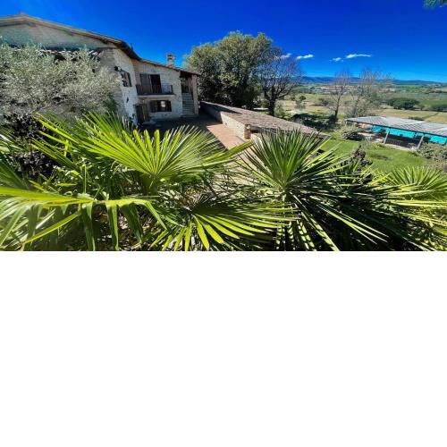 Spoleto-poolside slps 20, one hour to Rome, fabulous gardens, Bbq area, pool