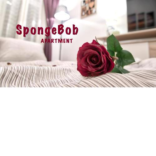 SpongeBob Apartment