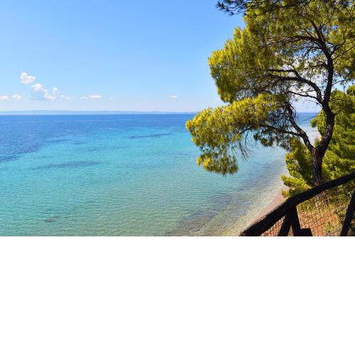 Squirrel Beach Front Villa, Metamorfosi