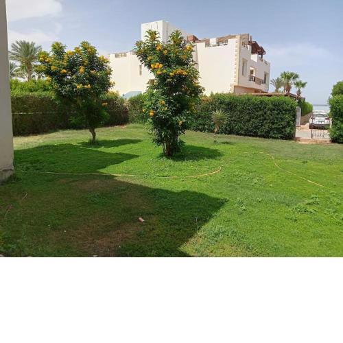 SS-1771 Six bedroom villa in Oyoun Amwaj Hotel beach front